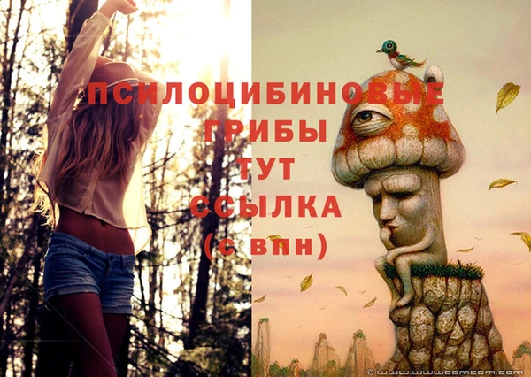 прущий лед Абинск