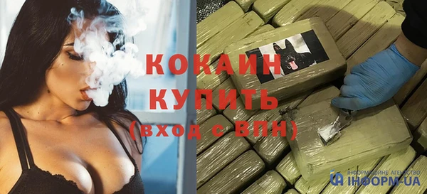 гидра Магас