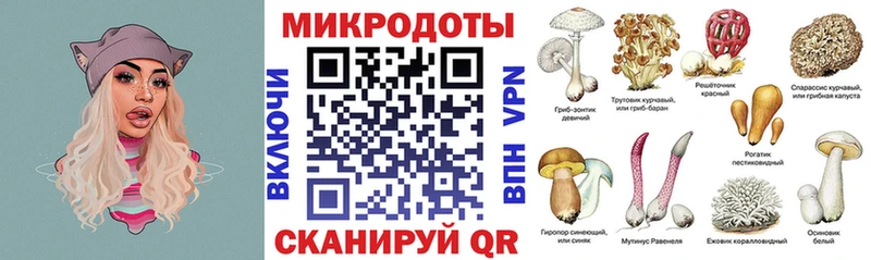магазин  наркотиков  darknet наркотические препараты  Галлюциногенные грибы Magic Shrooms  Сальск 