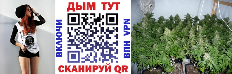 купить   Сальск  Канабис White Widow 